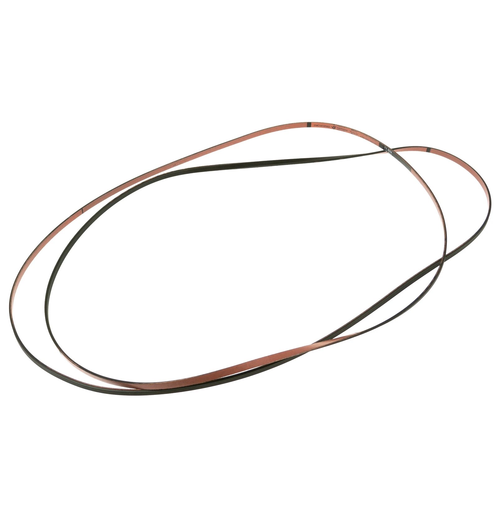 Drive Belt