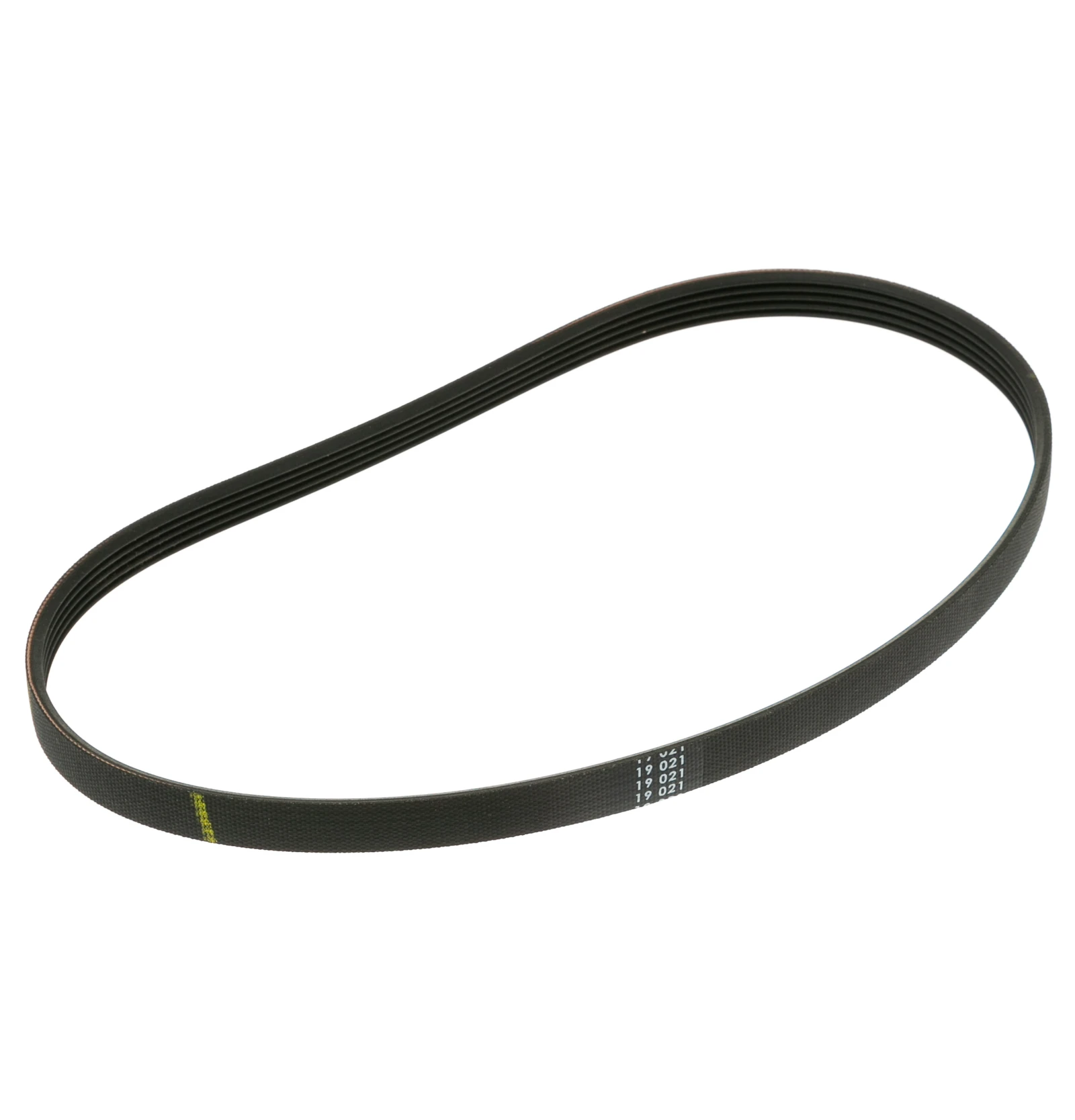 Drive Belt