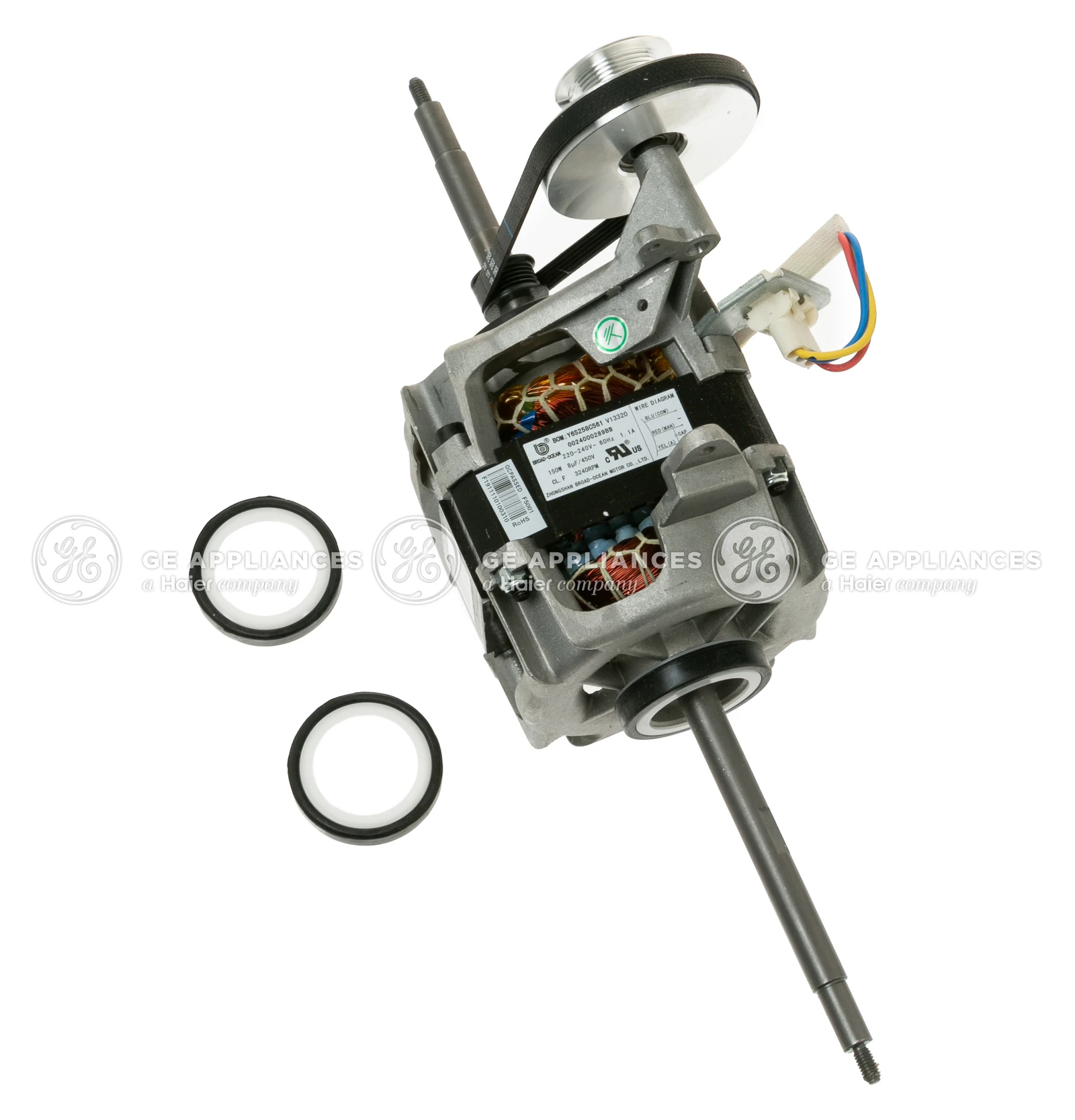 Motor Assembly