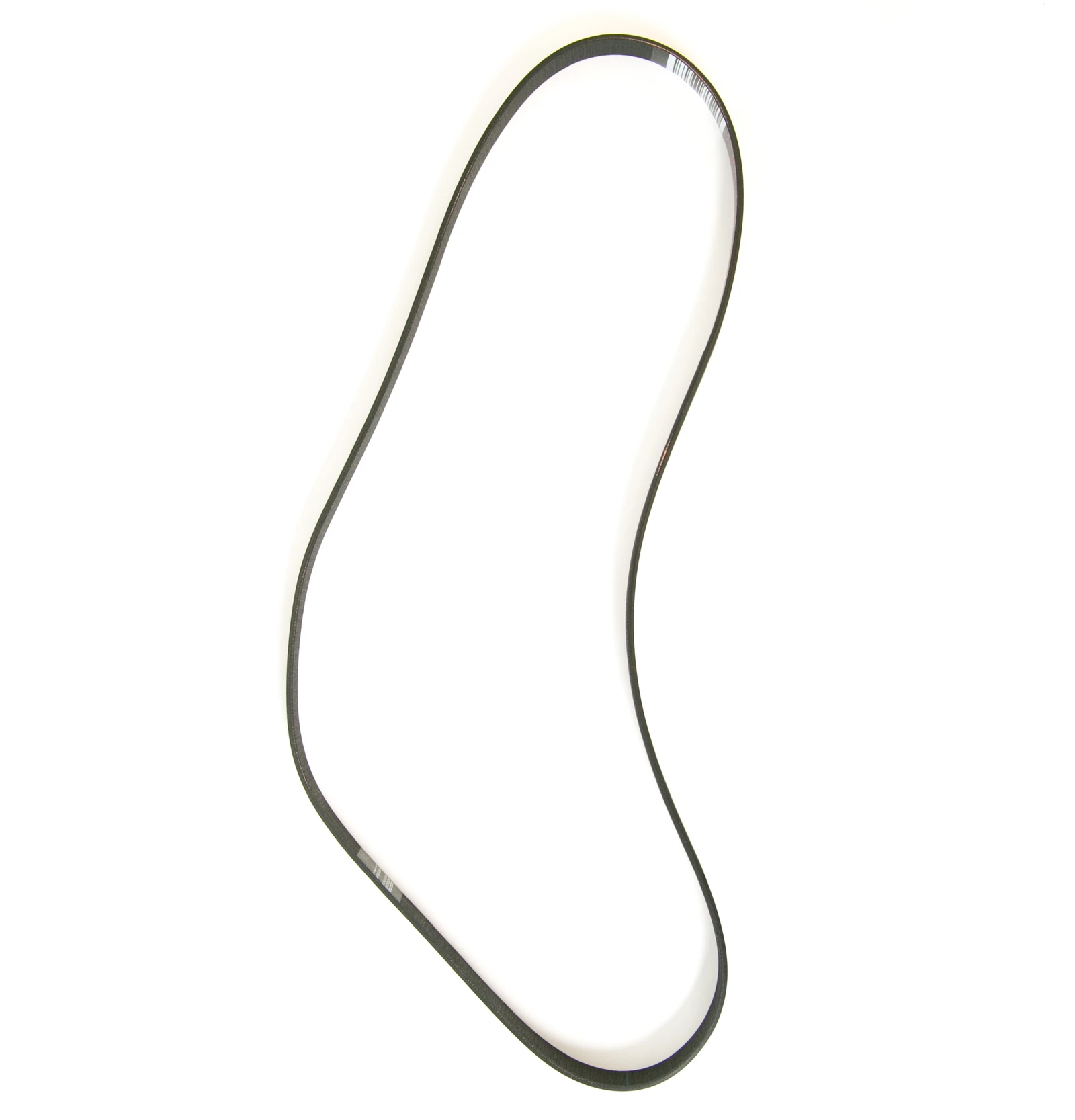 6 Rib Belt