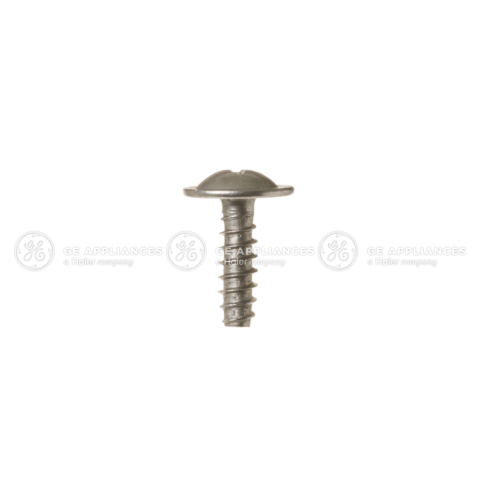 ST4.13 Screw