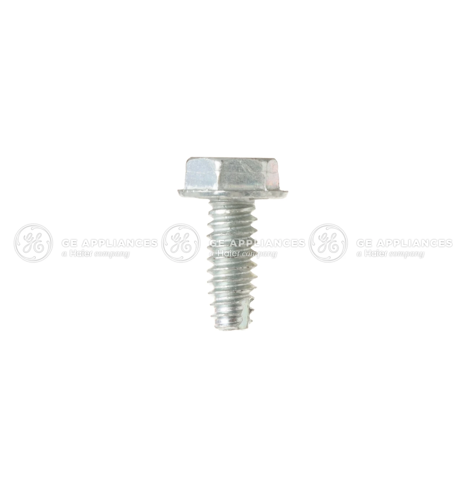 Screw 10-24 X 1/2