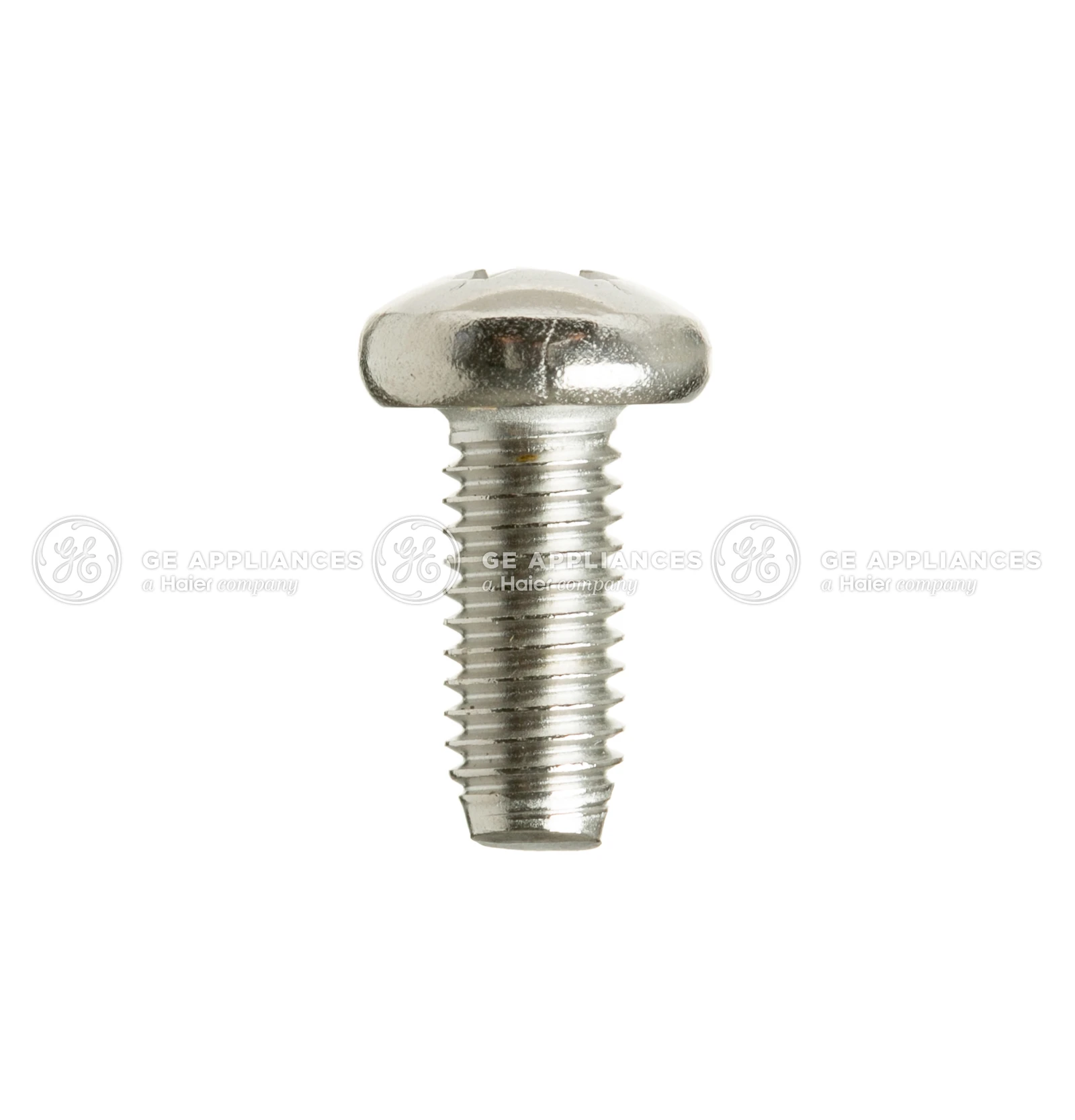 Door Hinge Screws