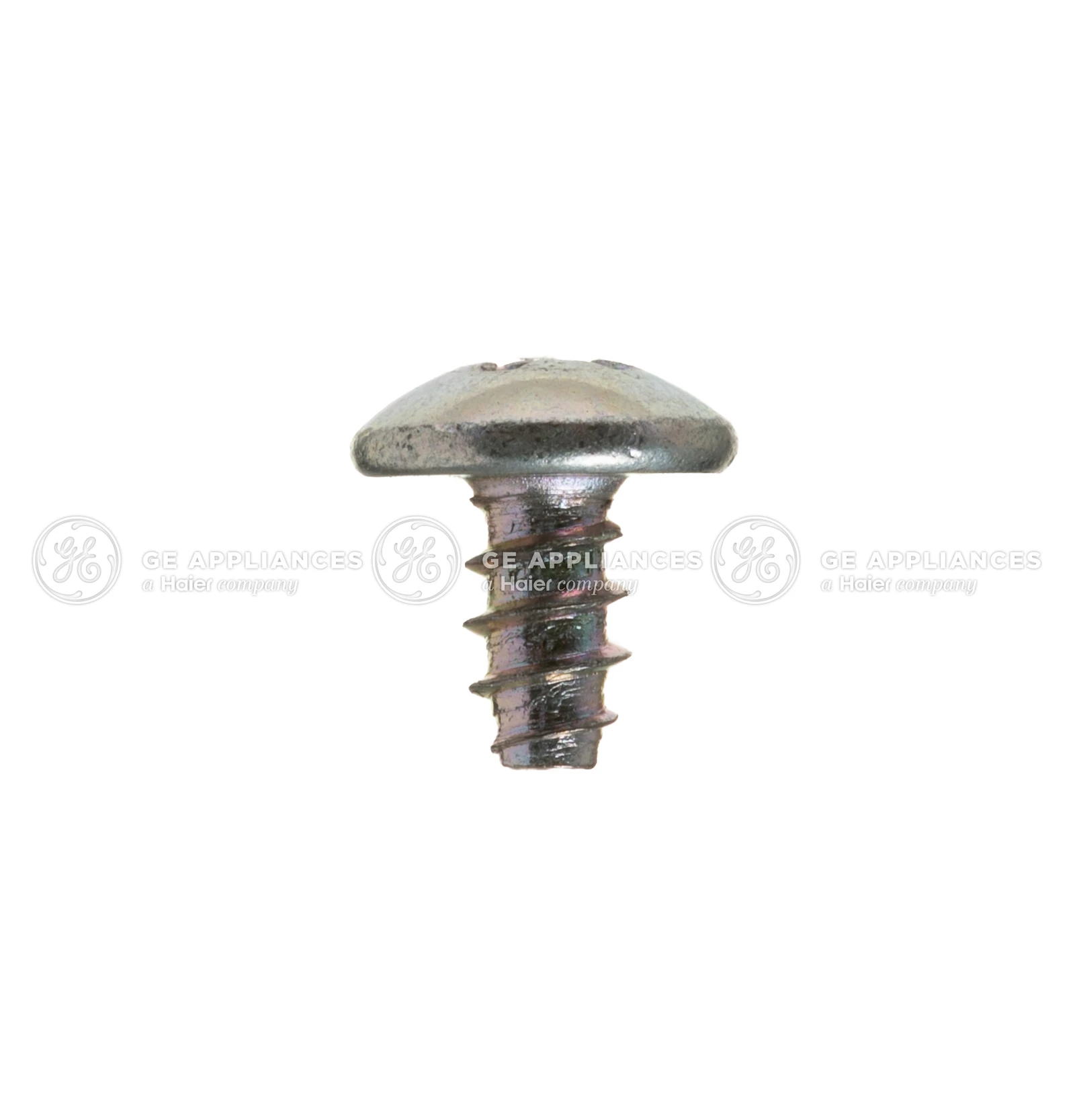 Capacitor Screws