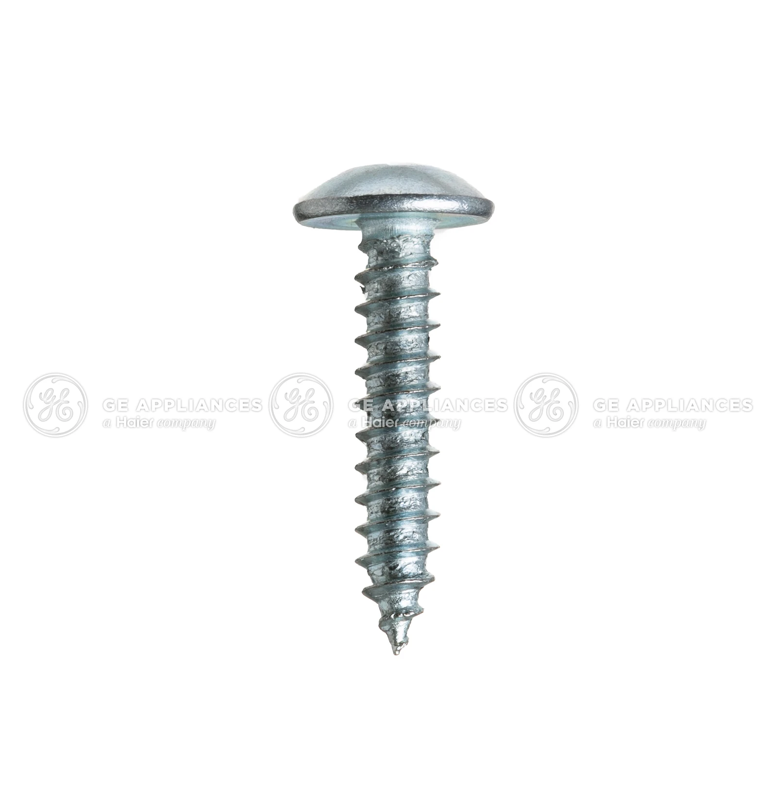 Bottom Screw