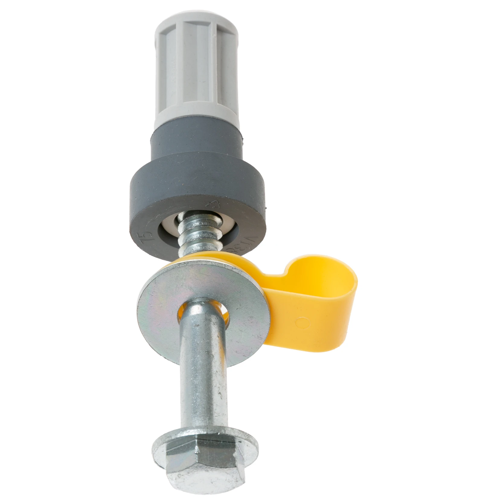 Shipping Bolt Short