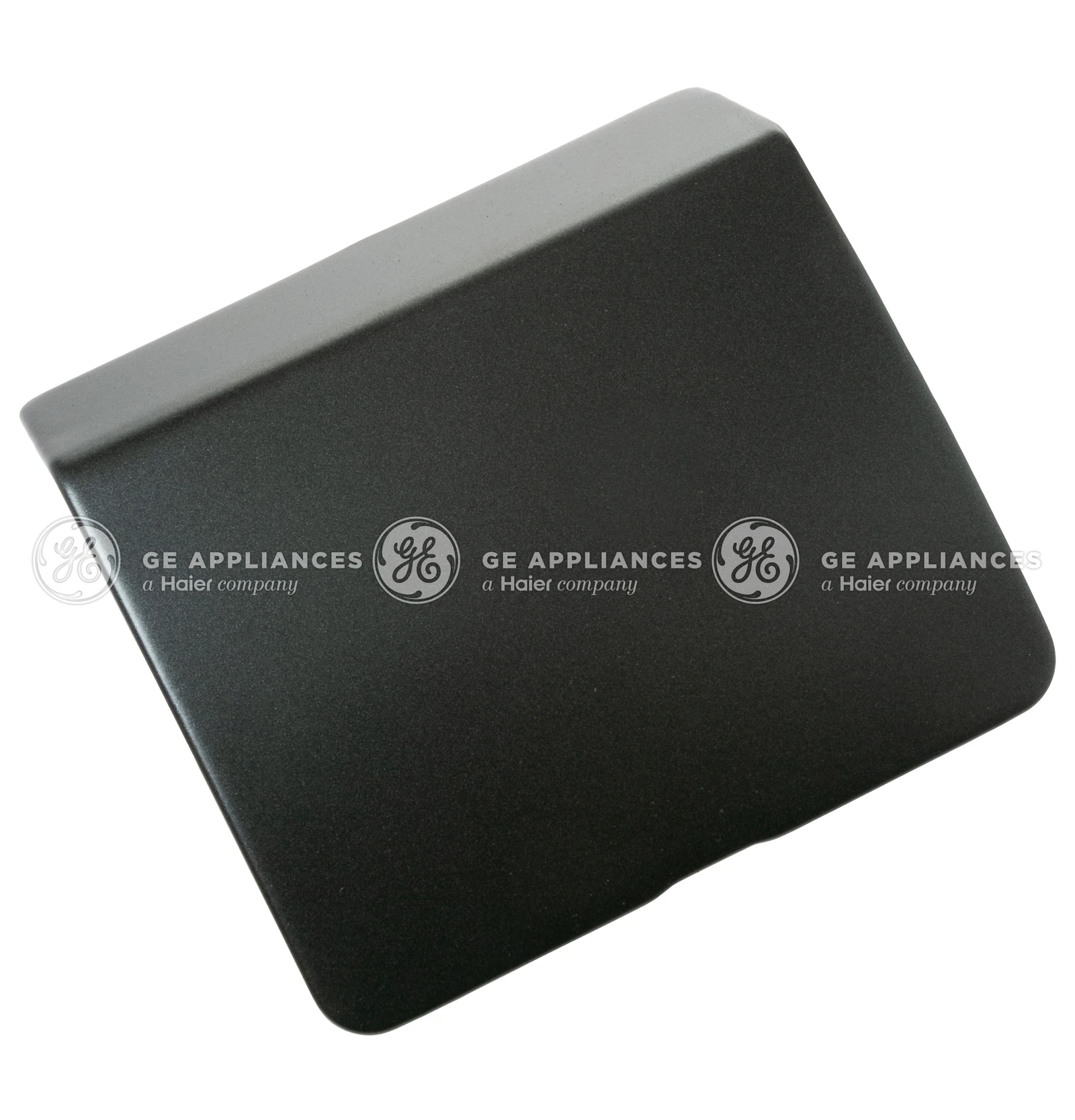 Drain Pump Access Door