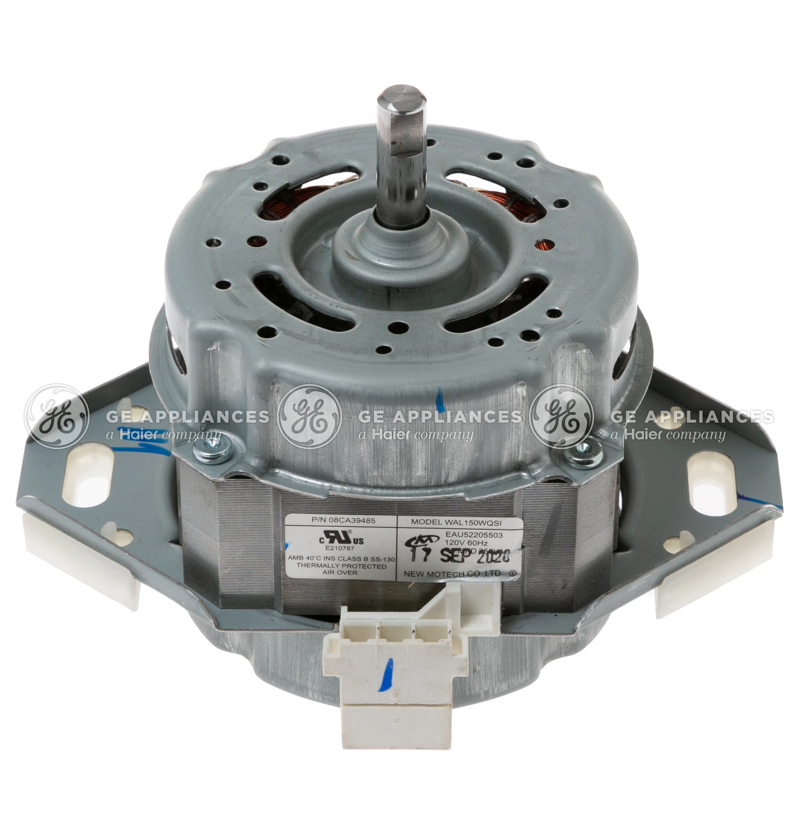 Motor Assembly