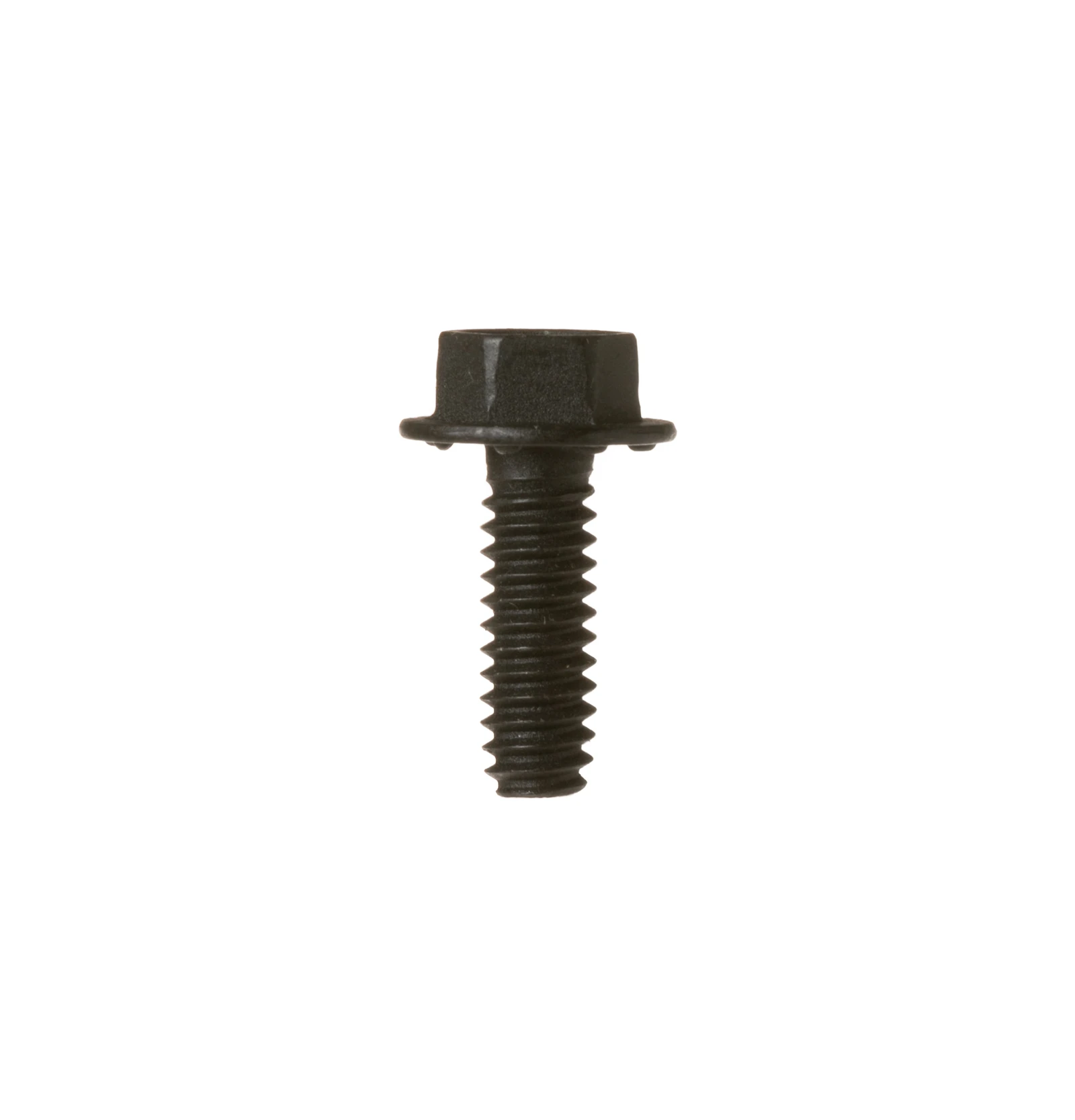 1/4-20 Screw