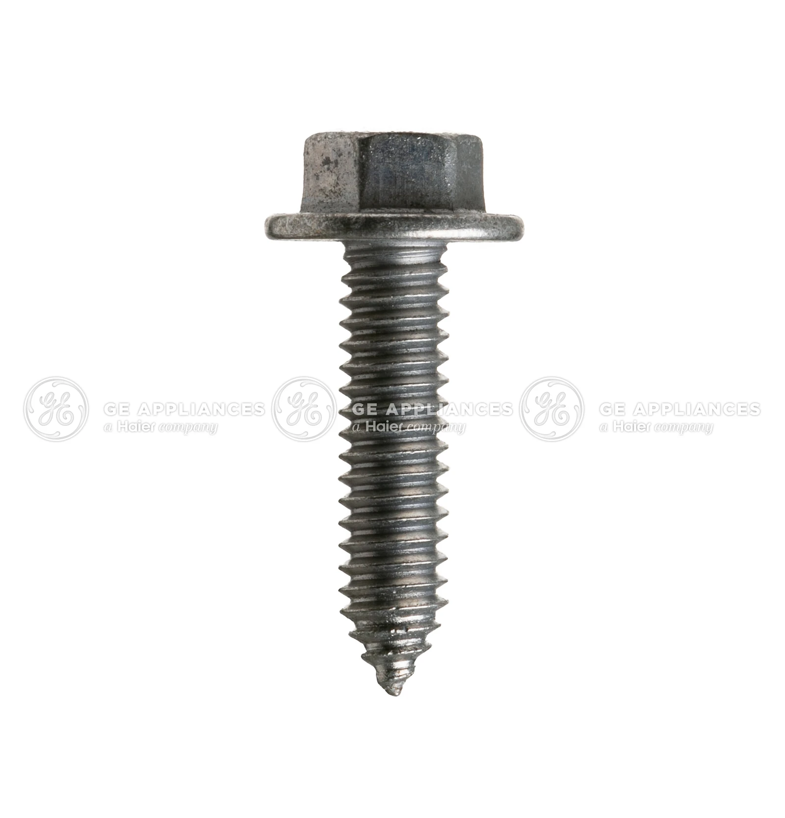 Screw