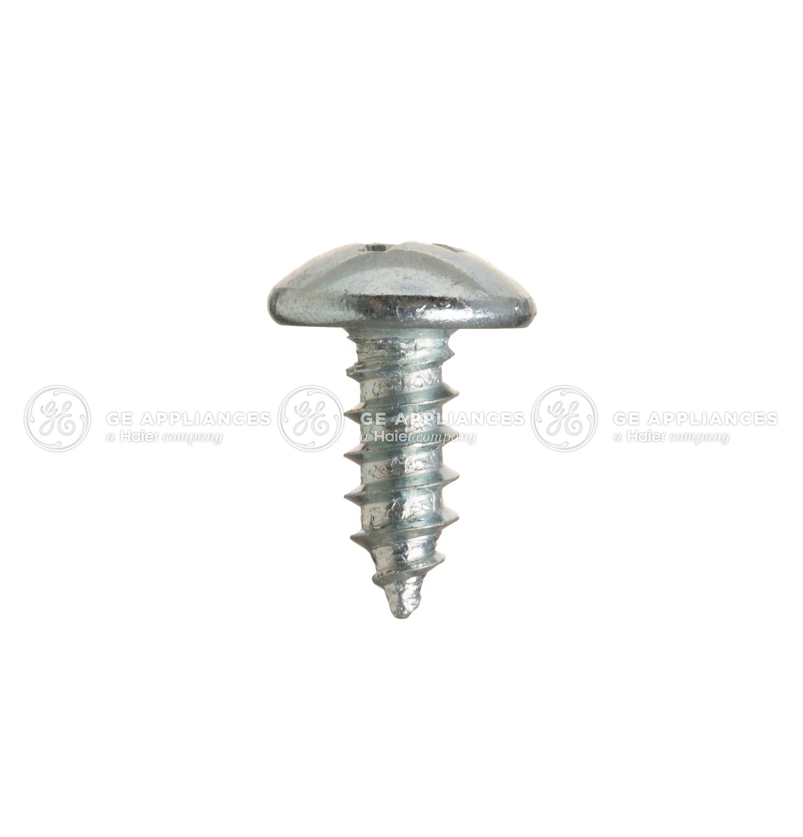Poised Screw