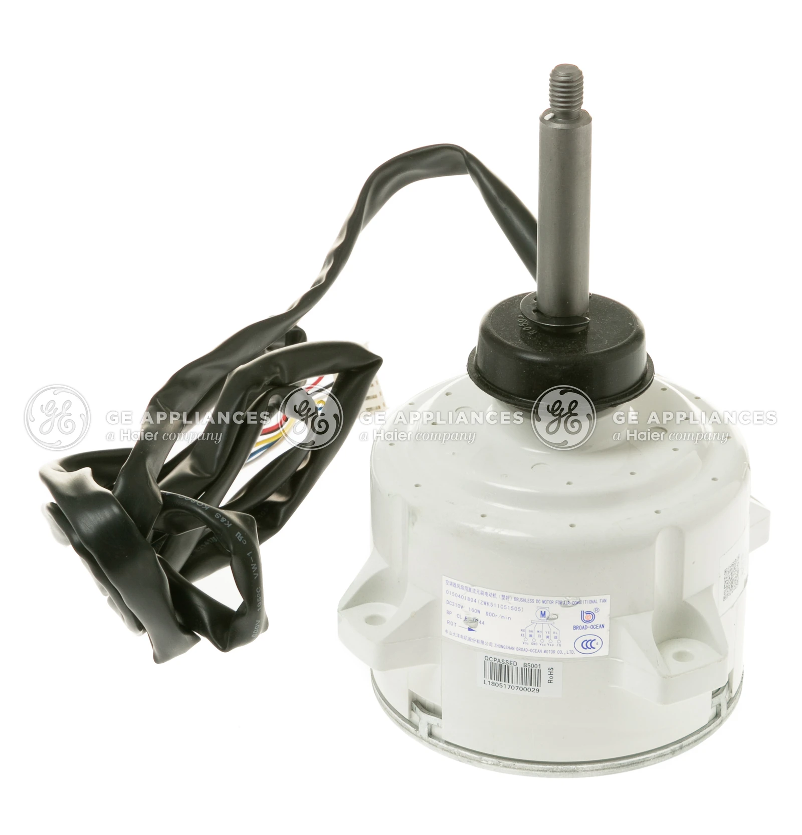 Motor