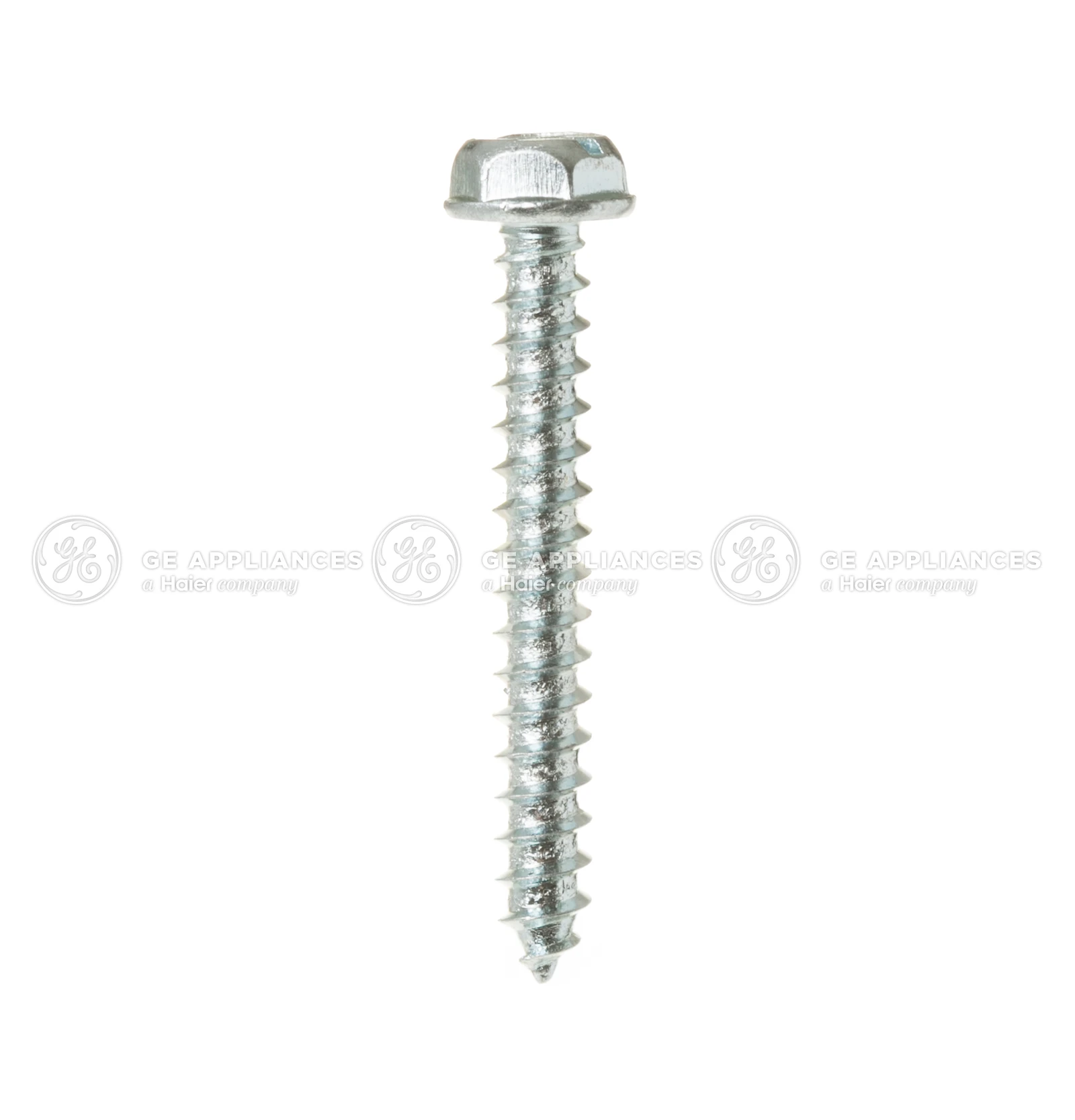 Special Screw