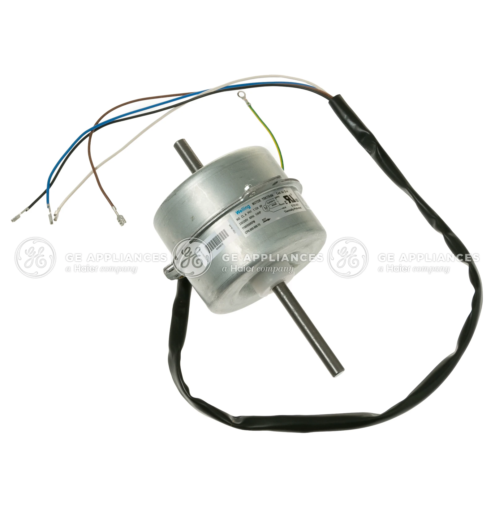 Fan Motor
