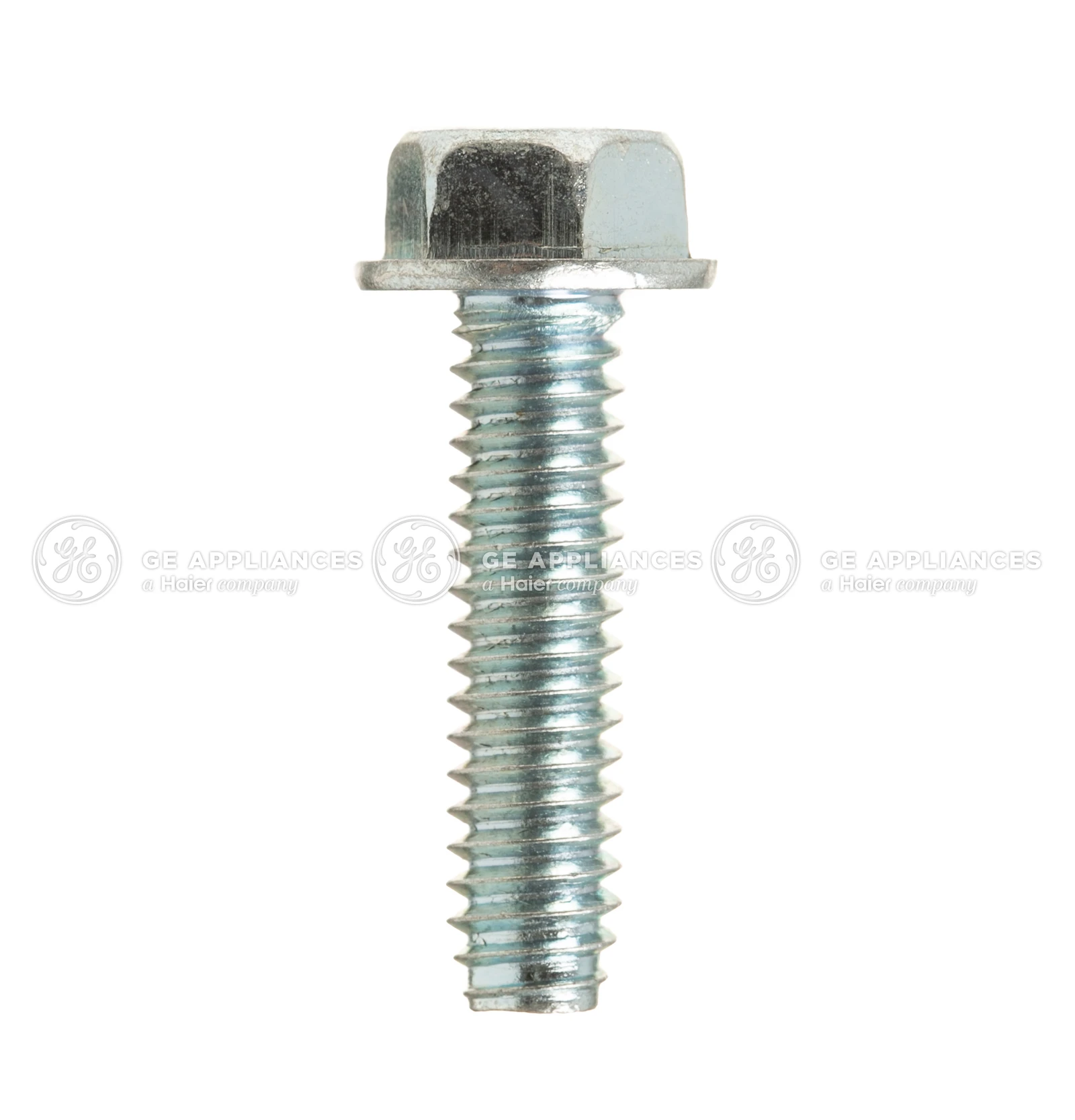 Bottom Door Hinge Screw