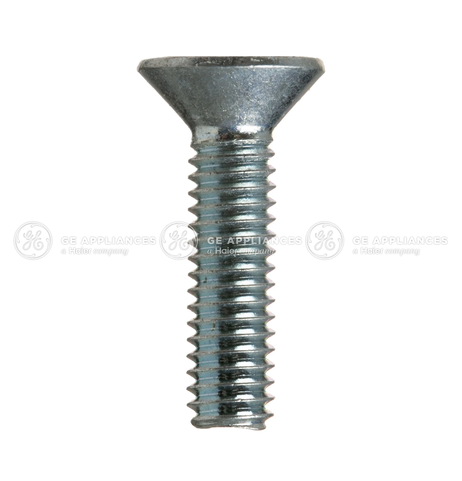 Door Hinge Screw