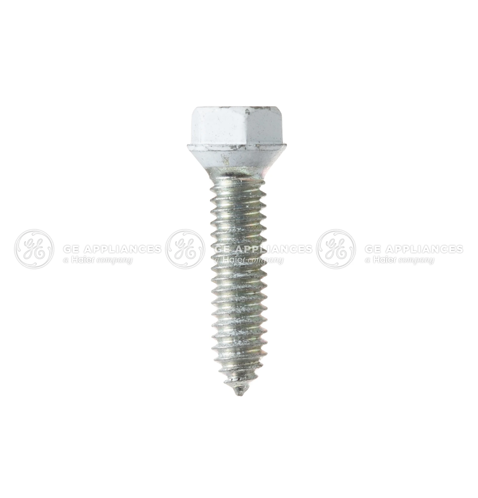 Screw 12-24 TT HXT20