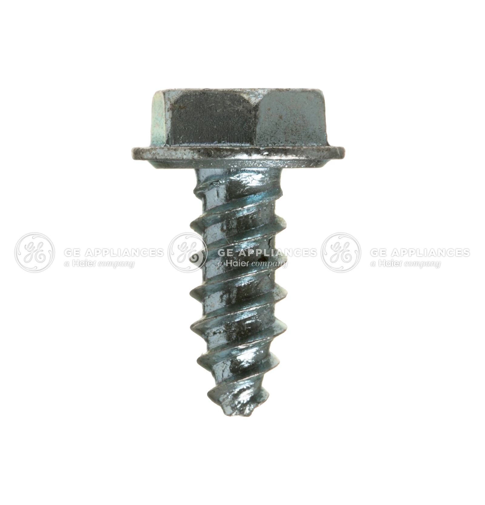 Screw Hex Head 1