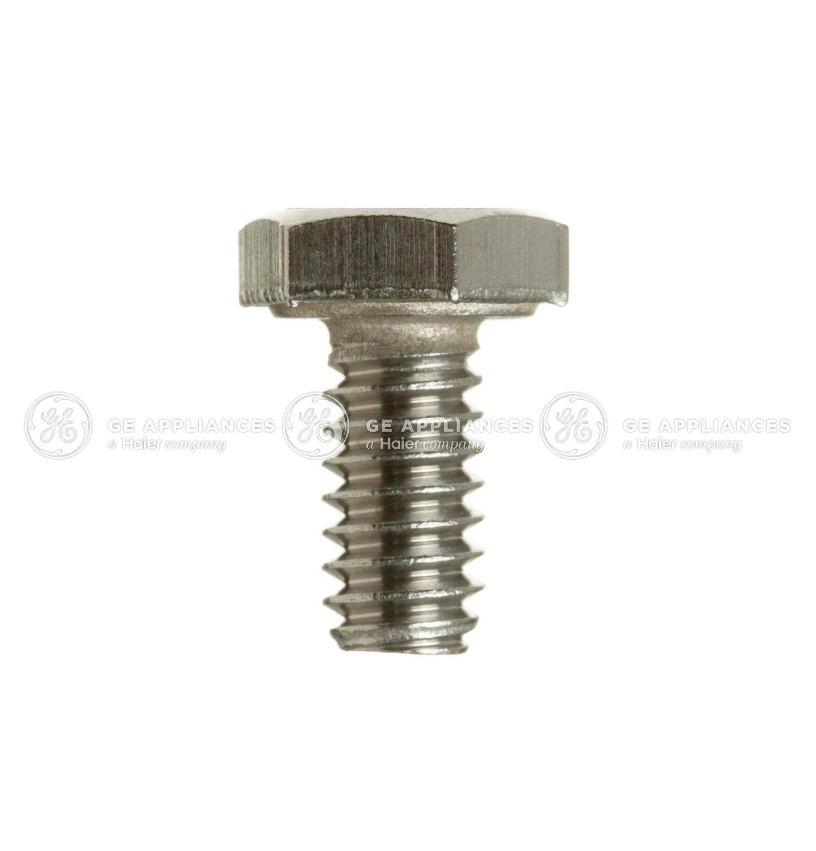 1/4-20 x 0.5 Hex Cap Screw Stainless Steel