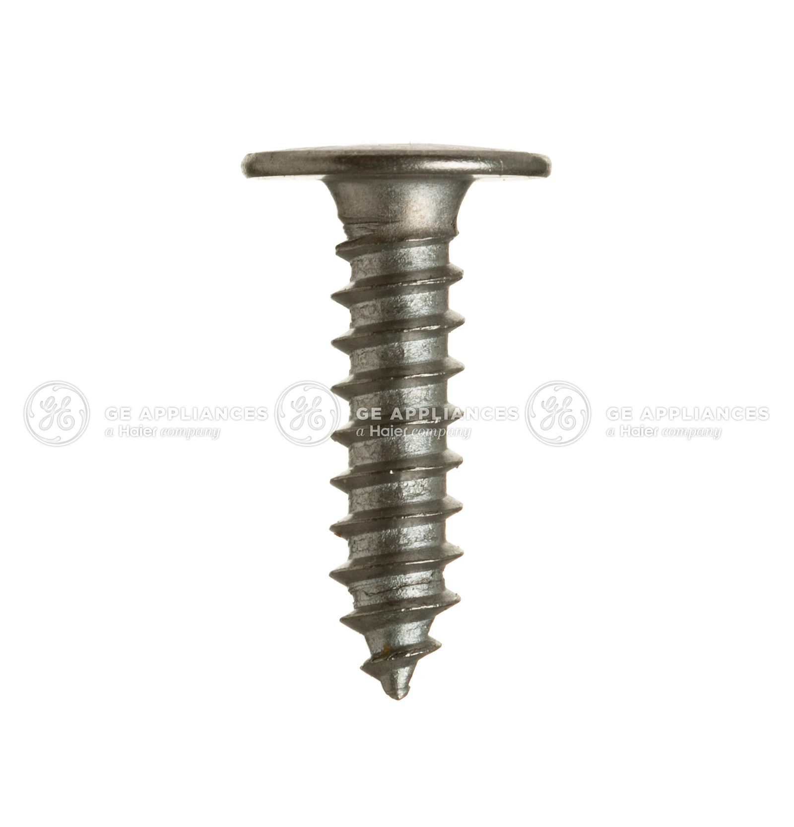 Scr 8-18 Bolt 5/8 SS