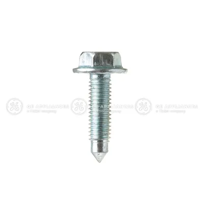 Screw