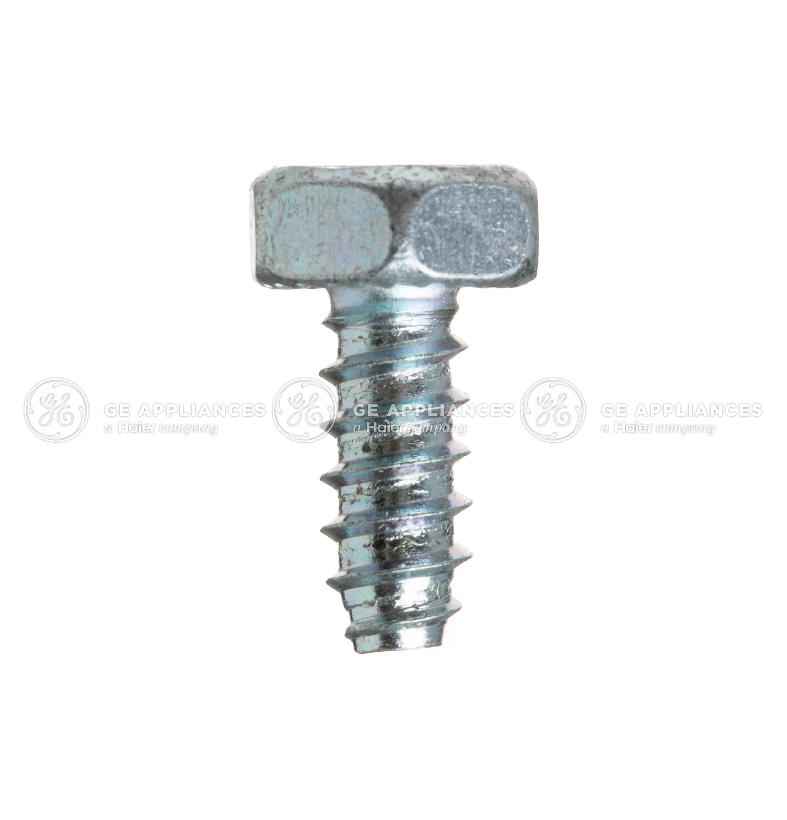 Screw