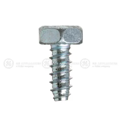 Screw