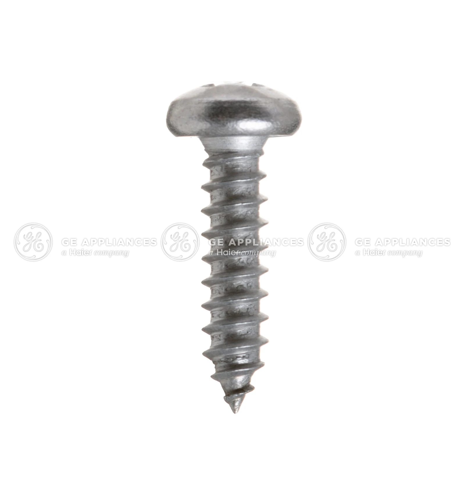 Lower Hinge Screw