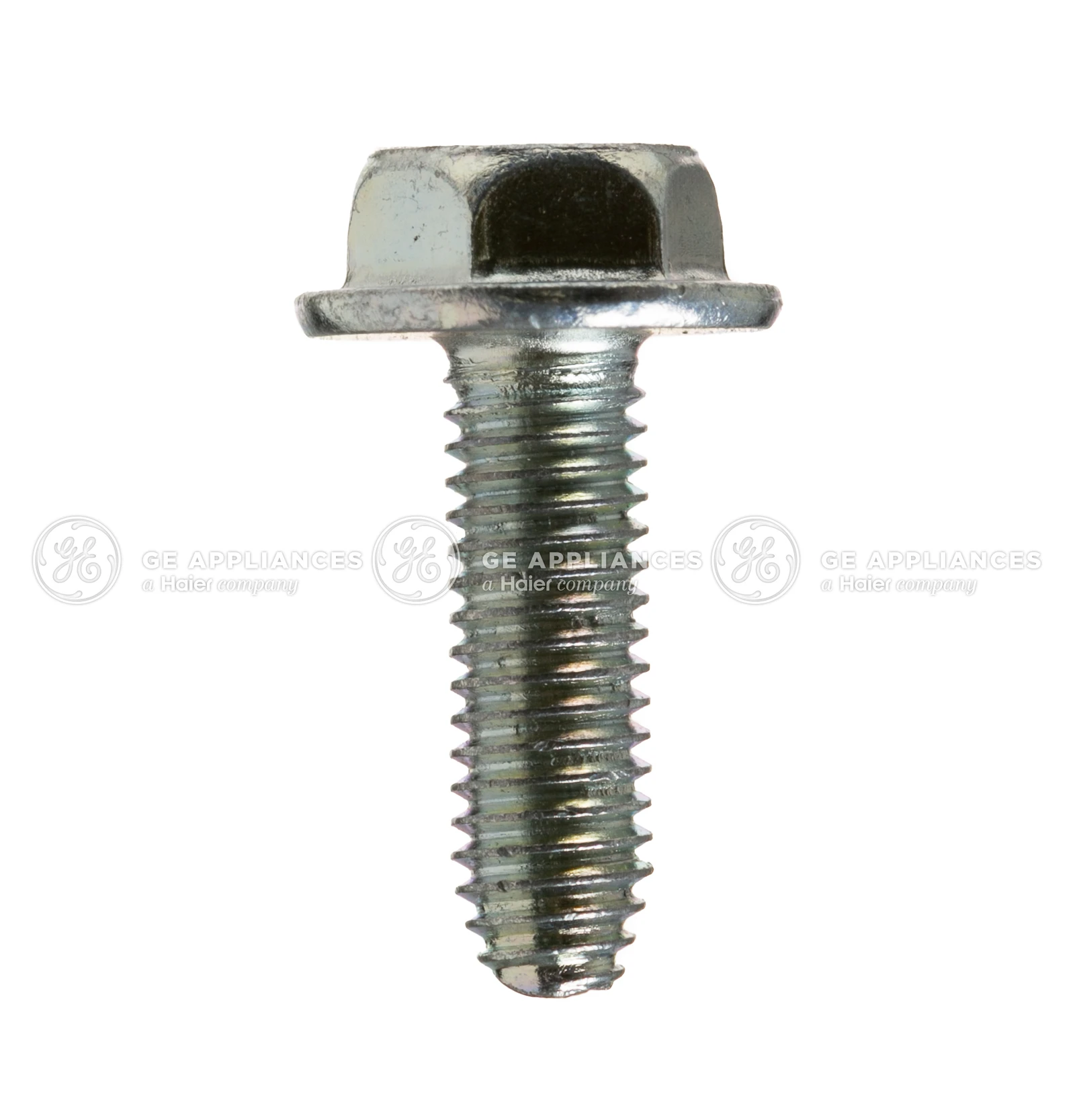 Screw