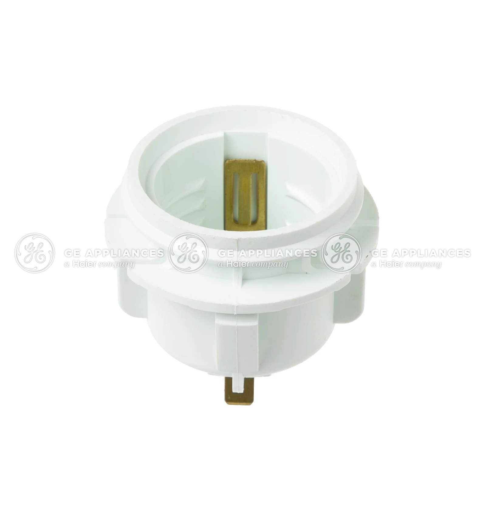 Light Socket