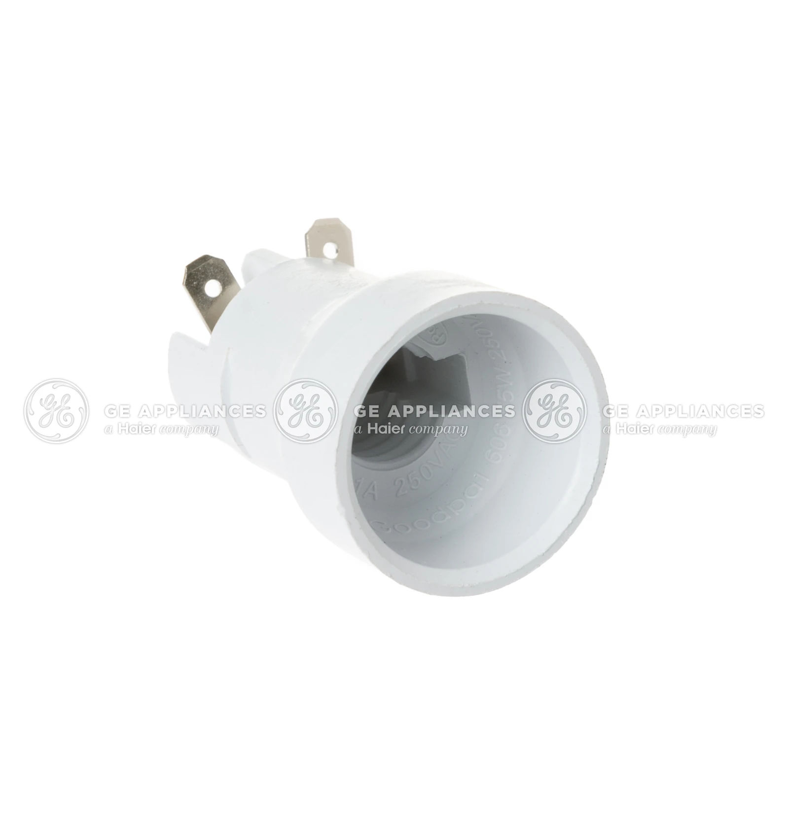 Socket and Terminal Assembly