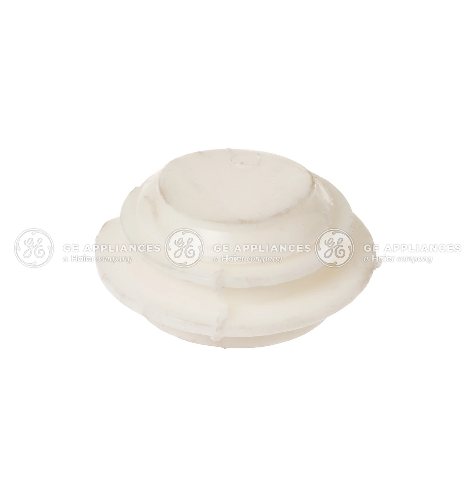 Drain Check Valve