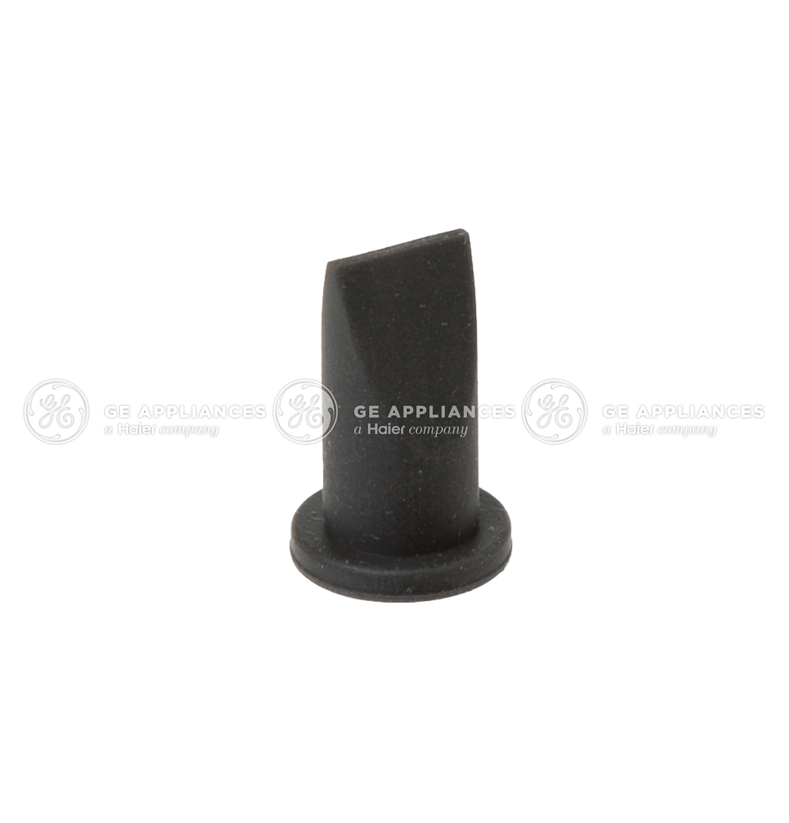 Check Valve