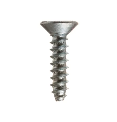 Hinge Screw