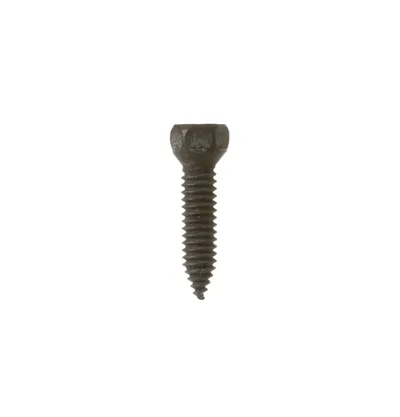 Screw