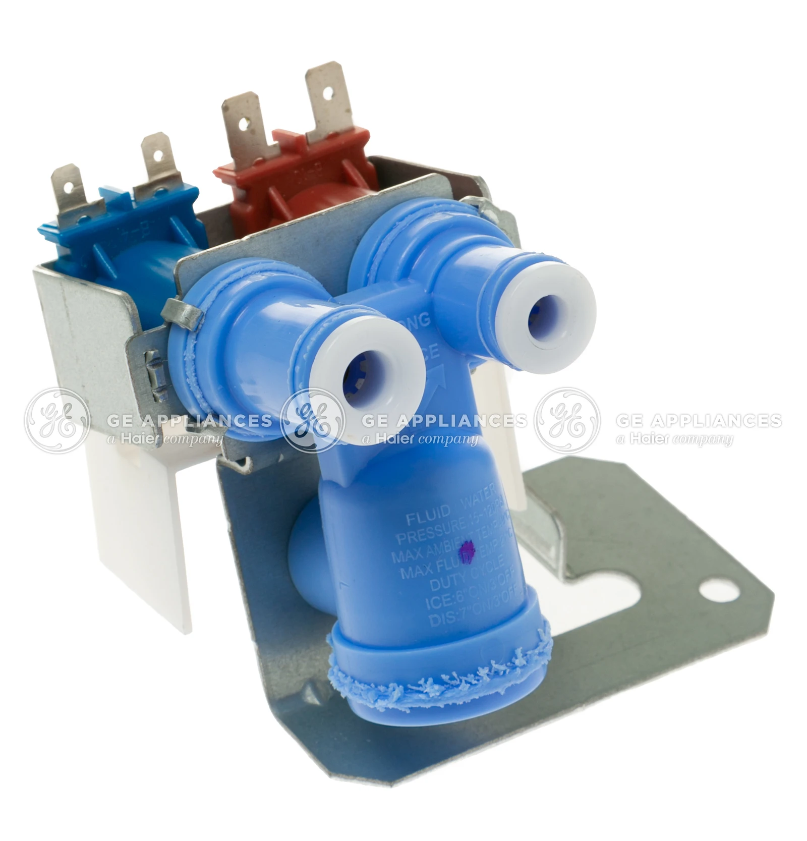 Valve and Guard Assembly