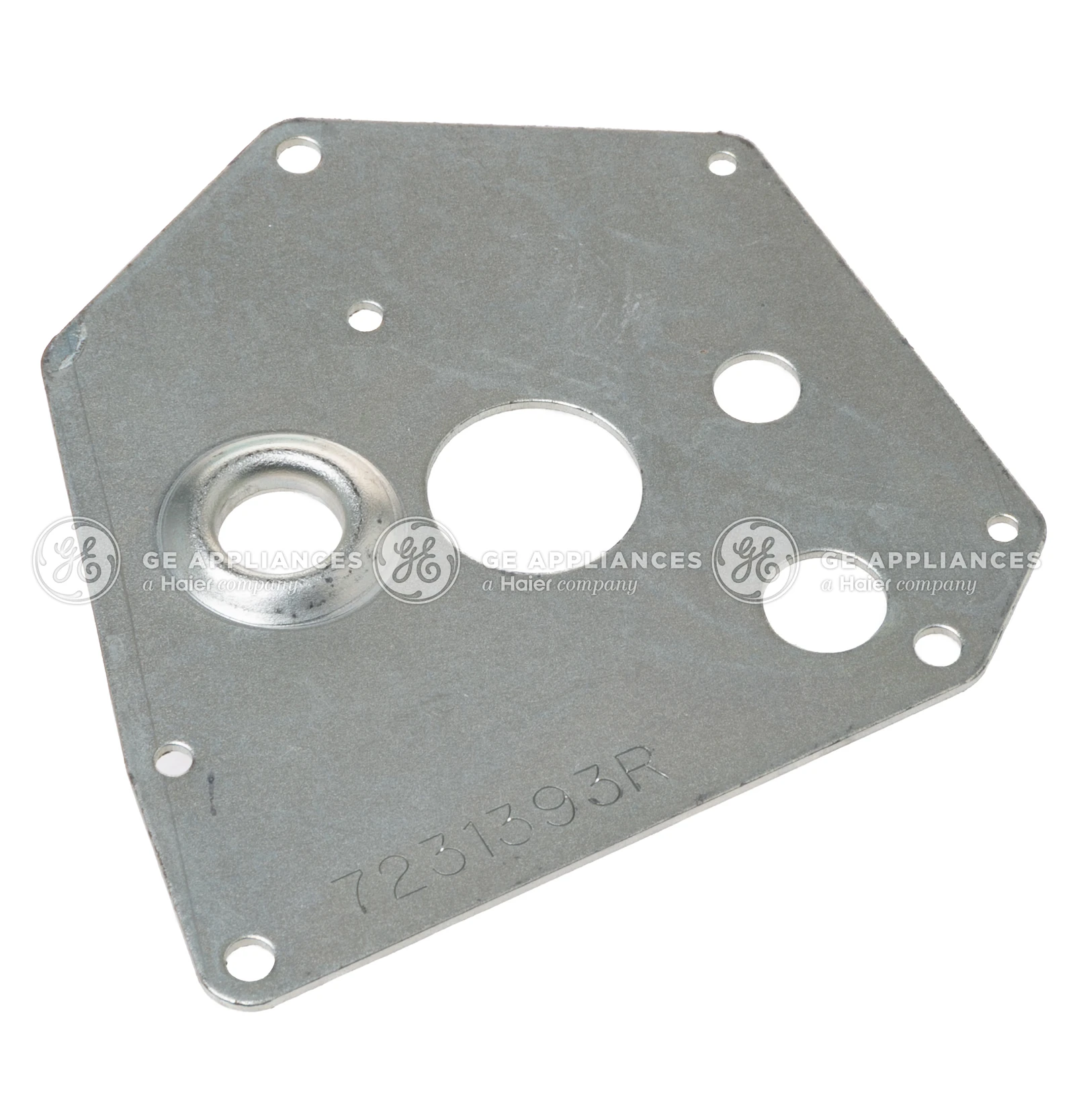 Plate Motor