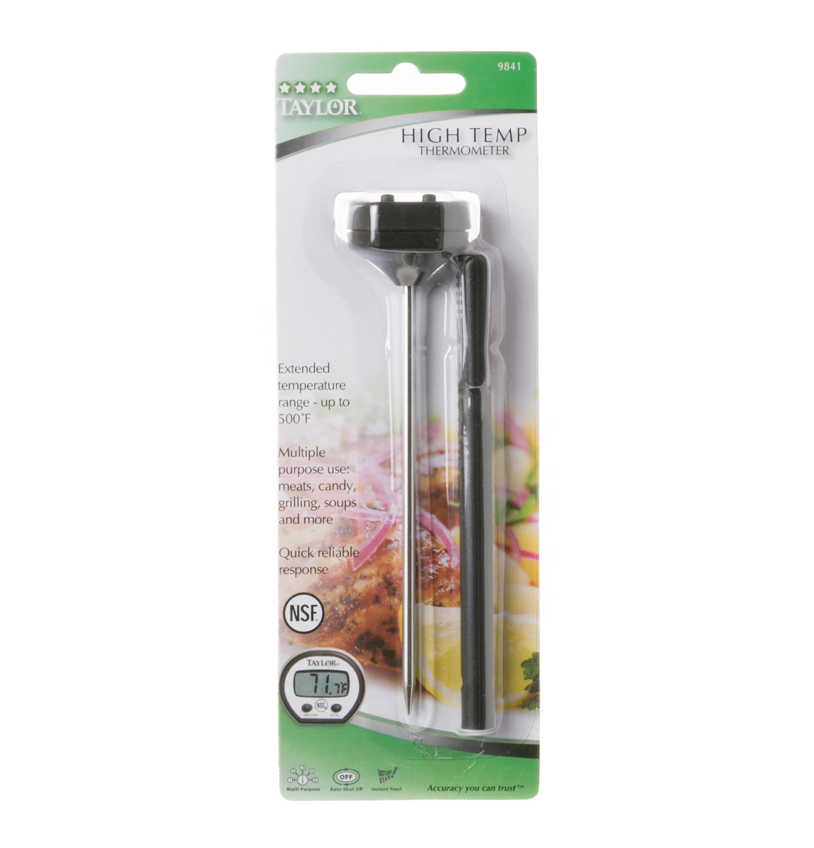 Digital Thermometer