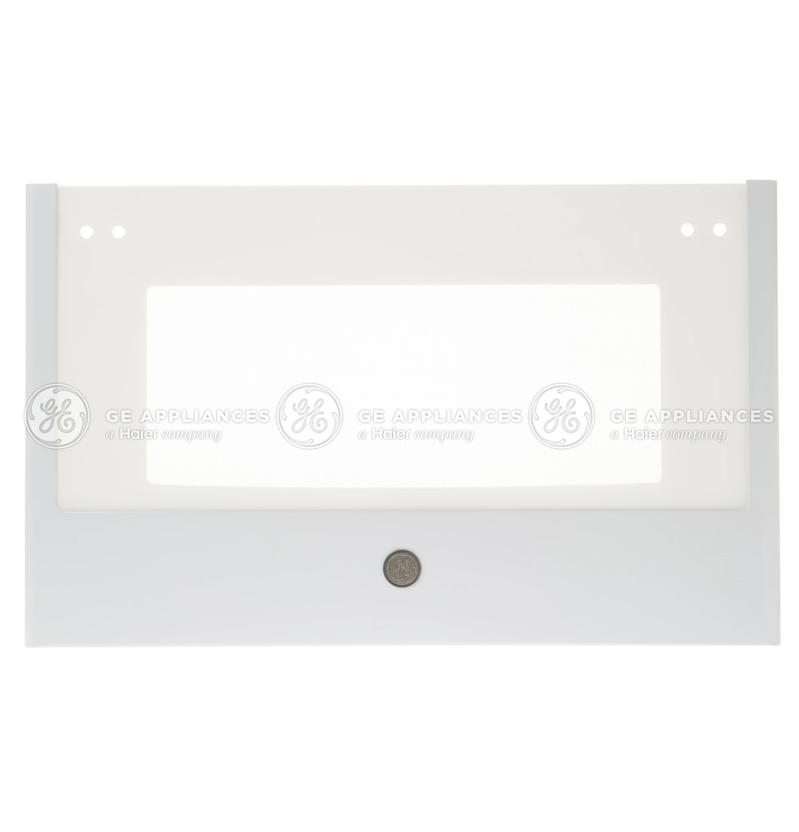 Glass Door Panel Assembly