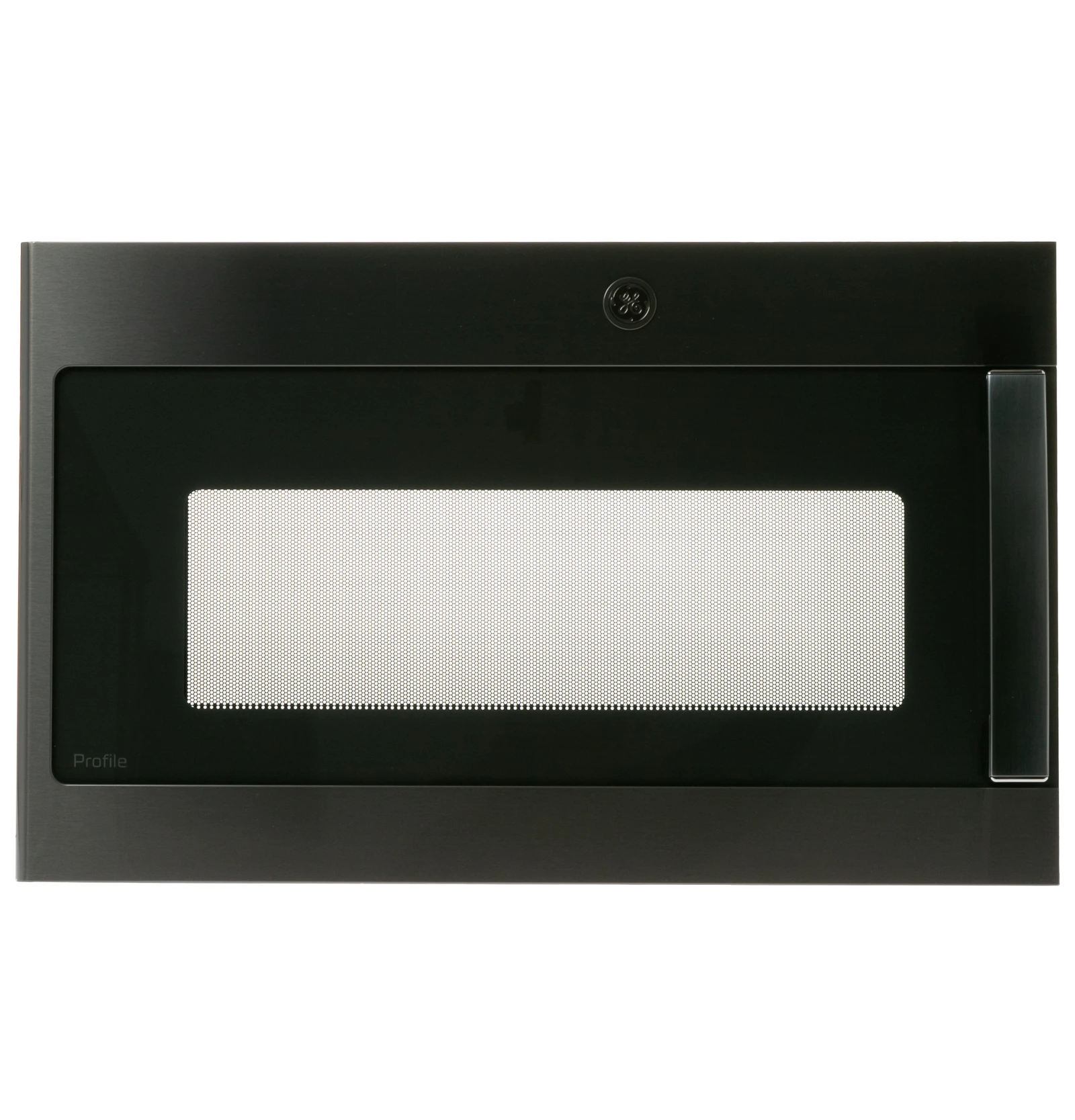 Black Stainless Steel Door Assembly