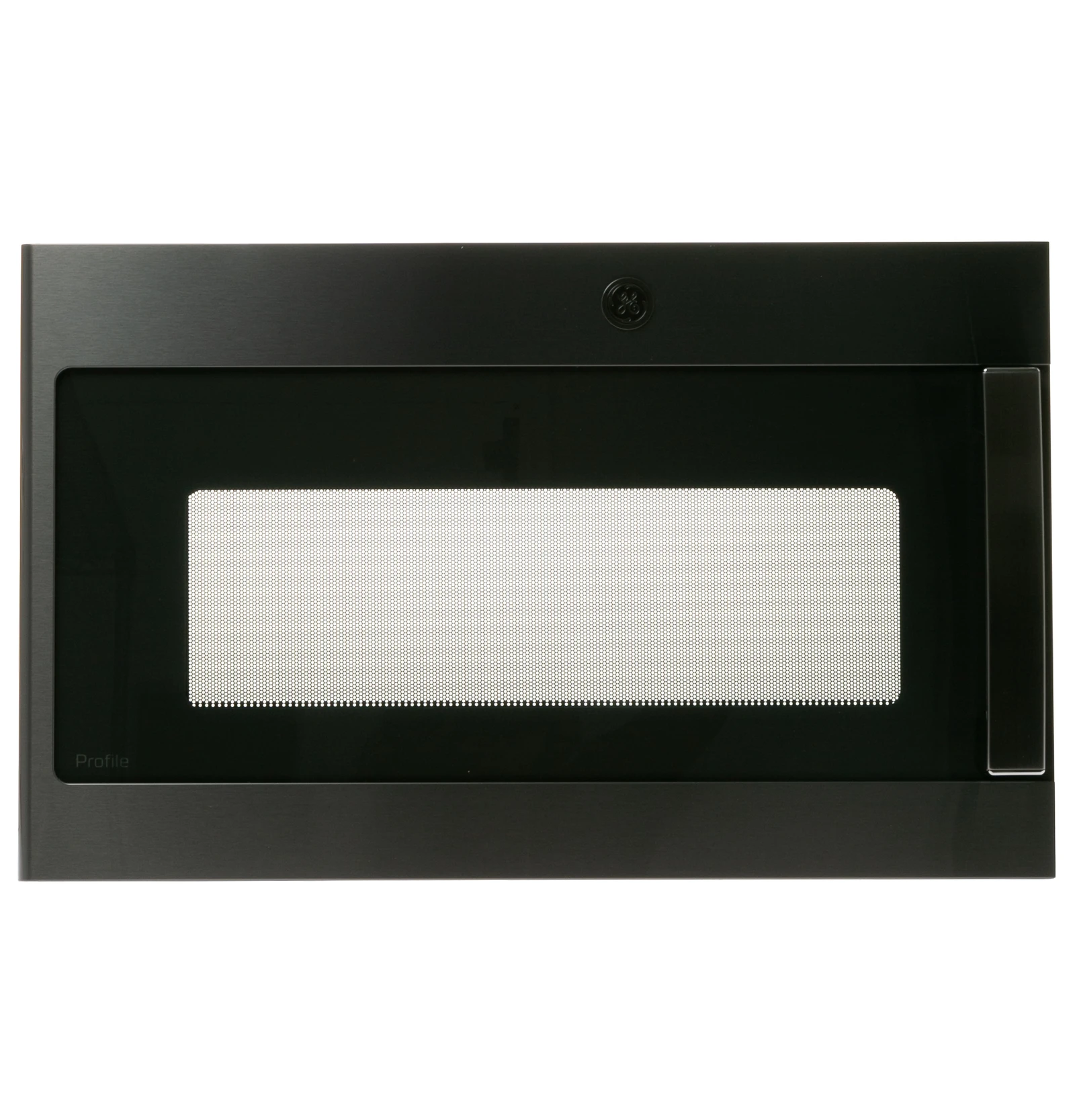 Black Stainless Door