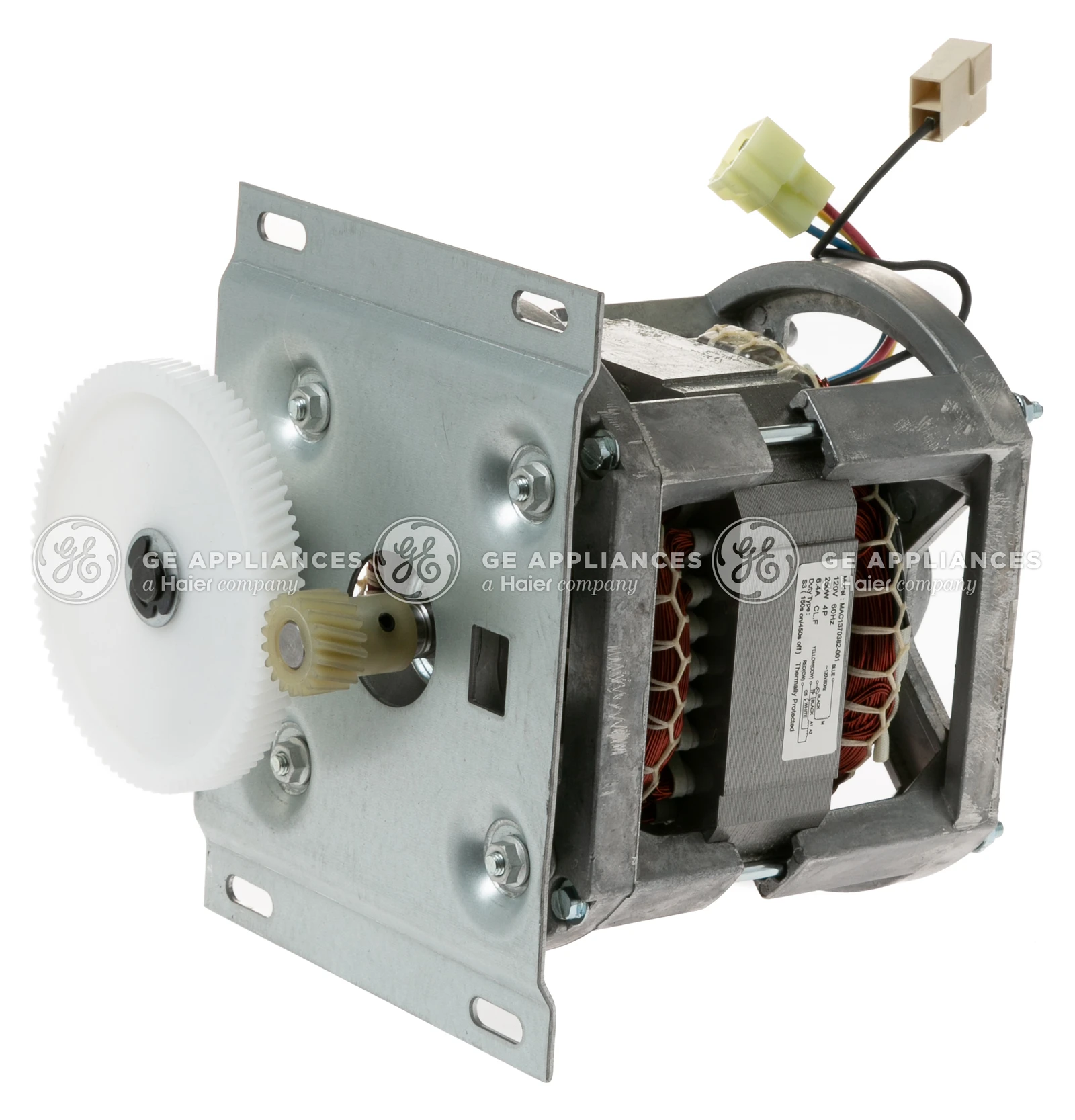 Motor and Gear Assembly