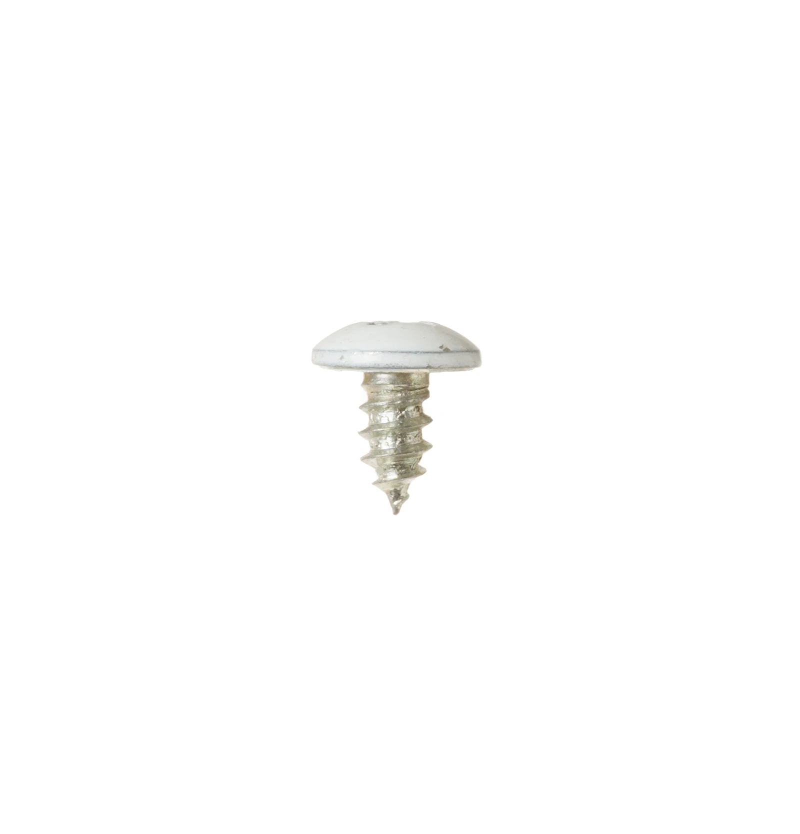 Trim Screw