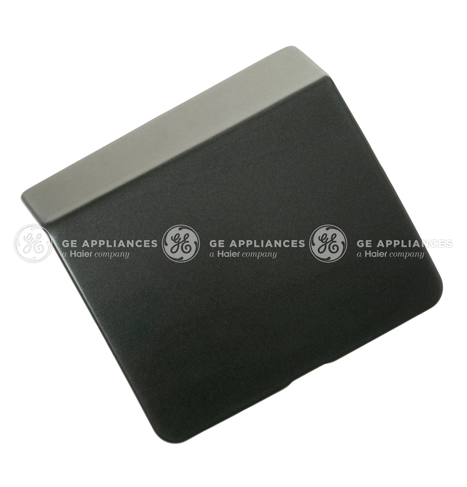 Drain Pump Access Door