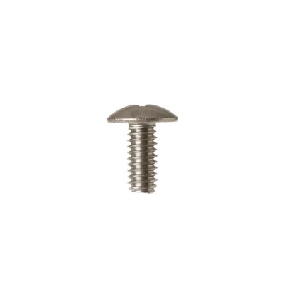 Screw