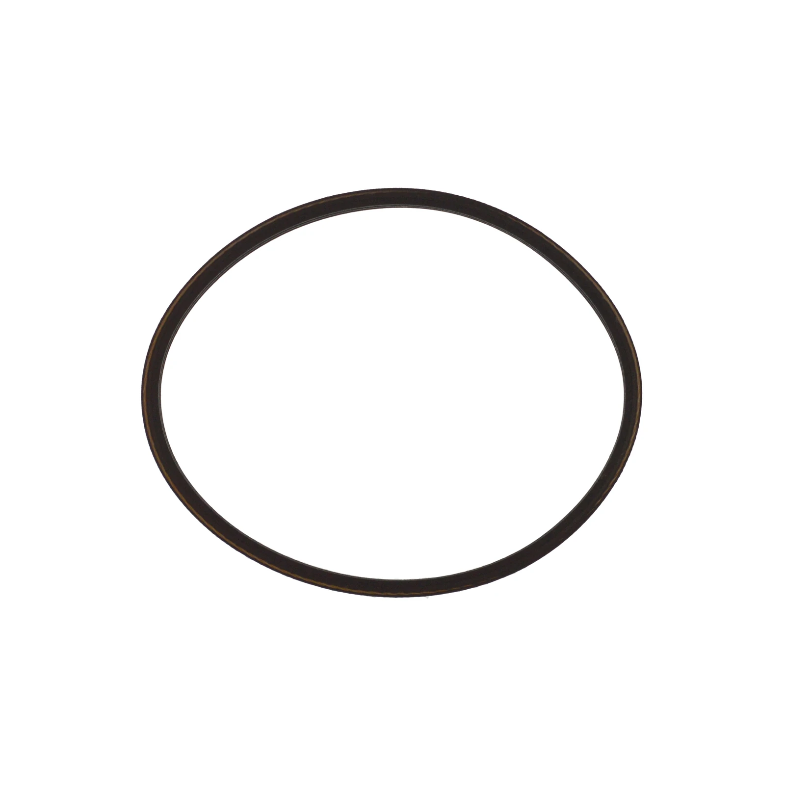 Drive Belt