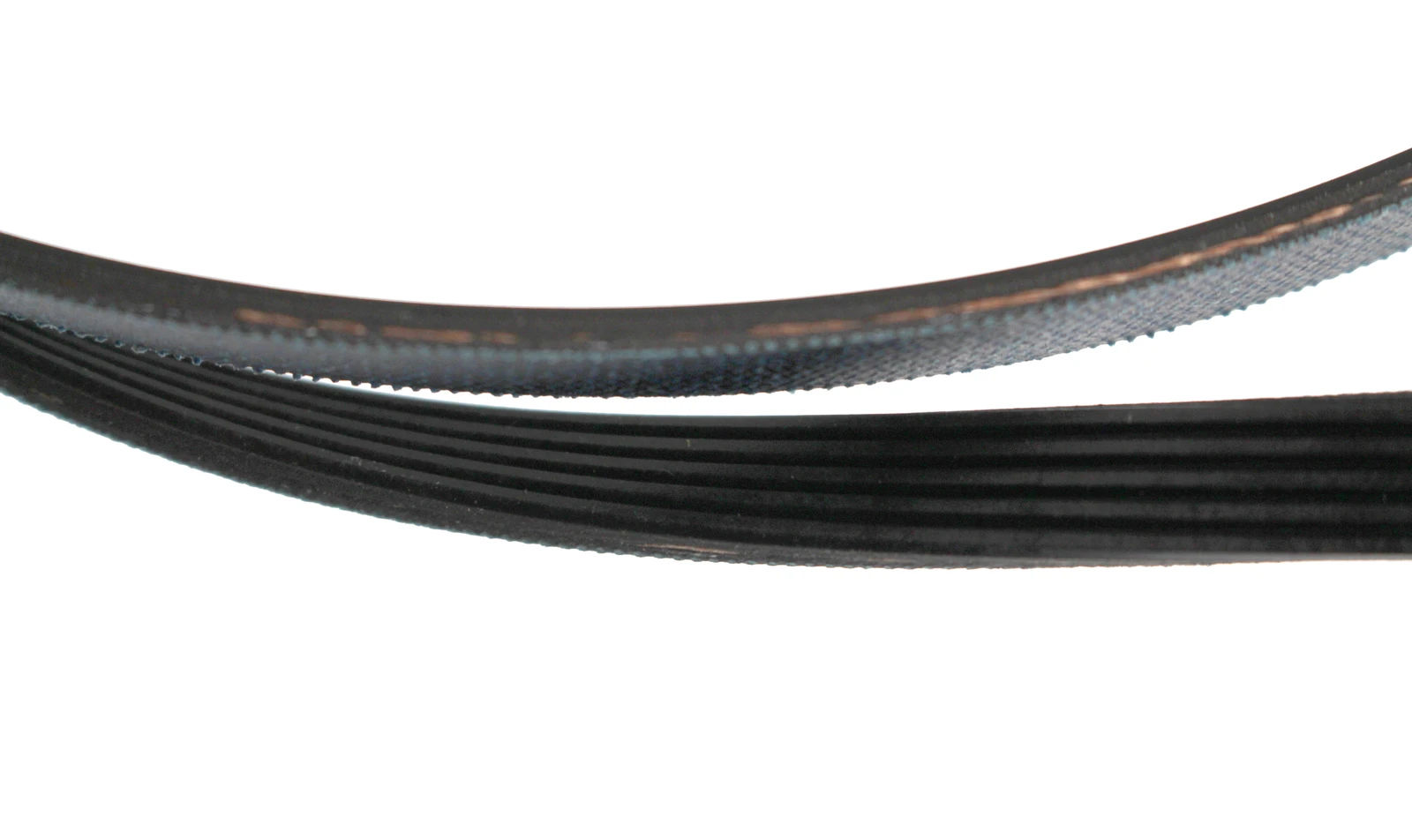 5-Rib Belt