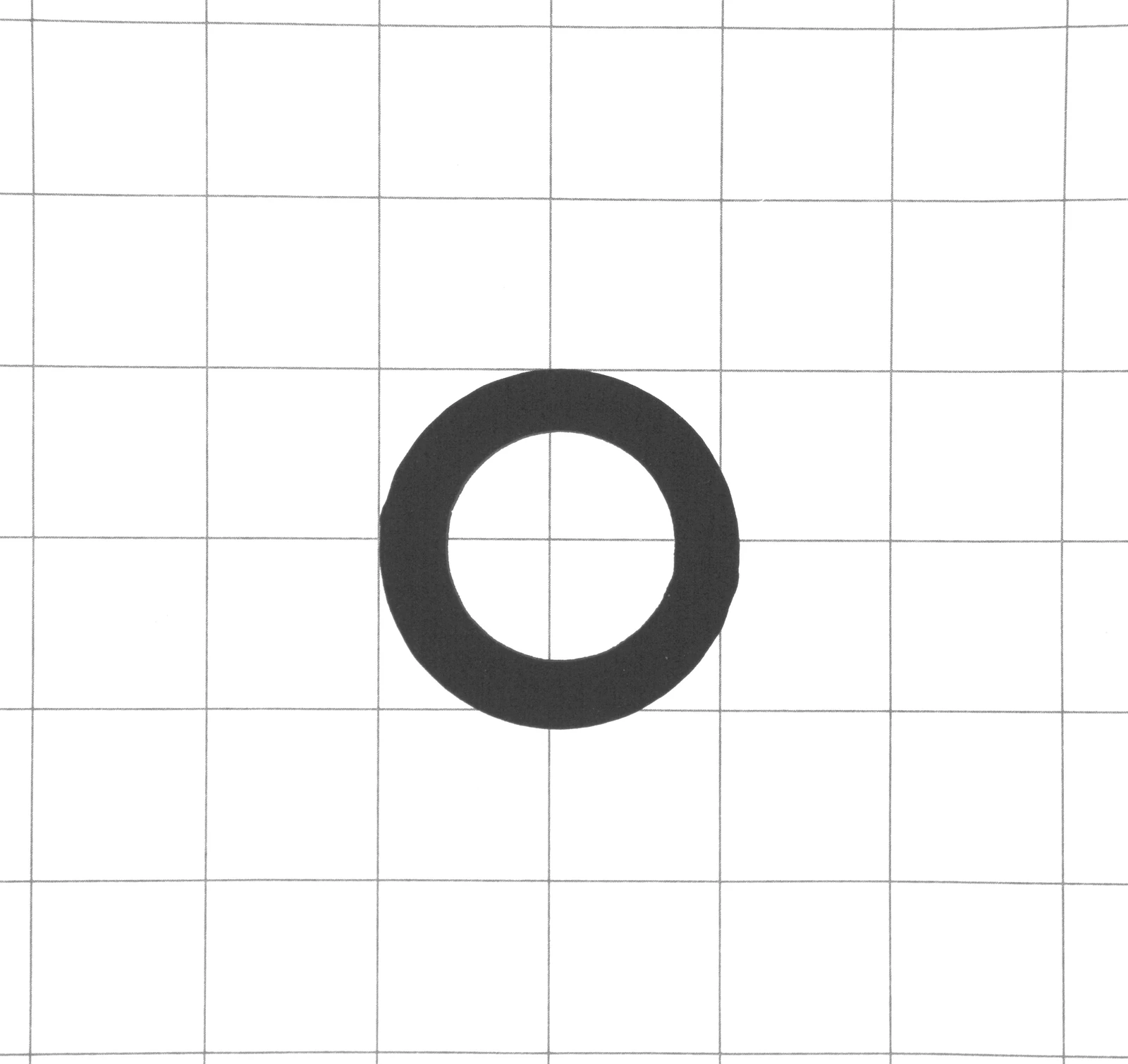 Delivery Tube Gasket