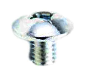 Screw
