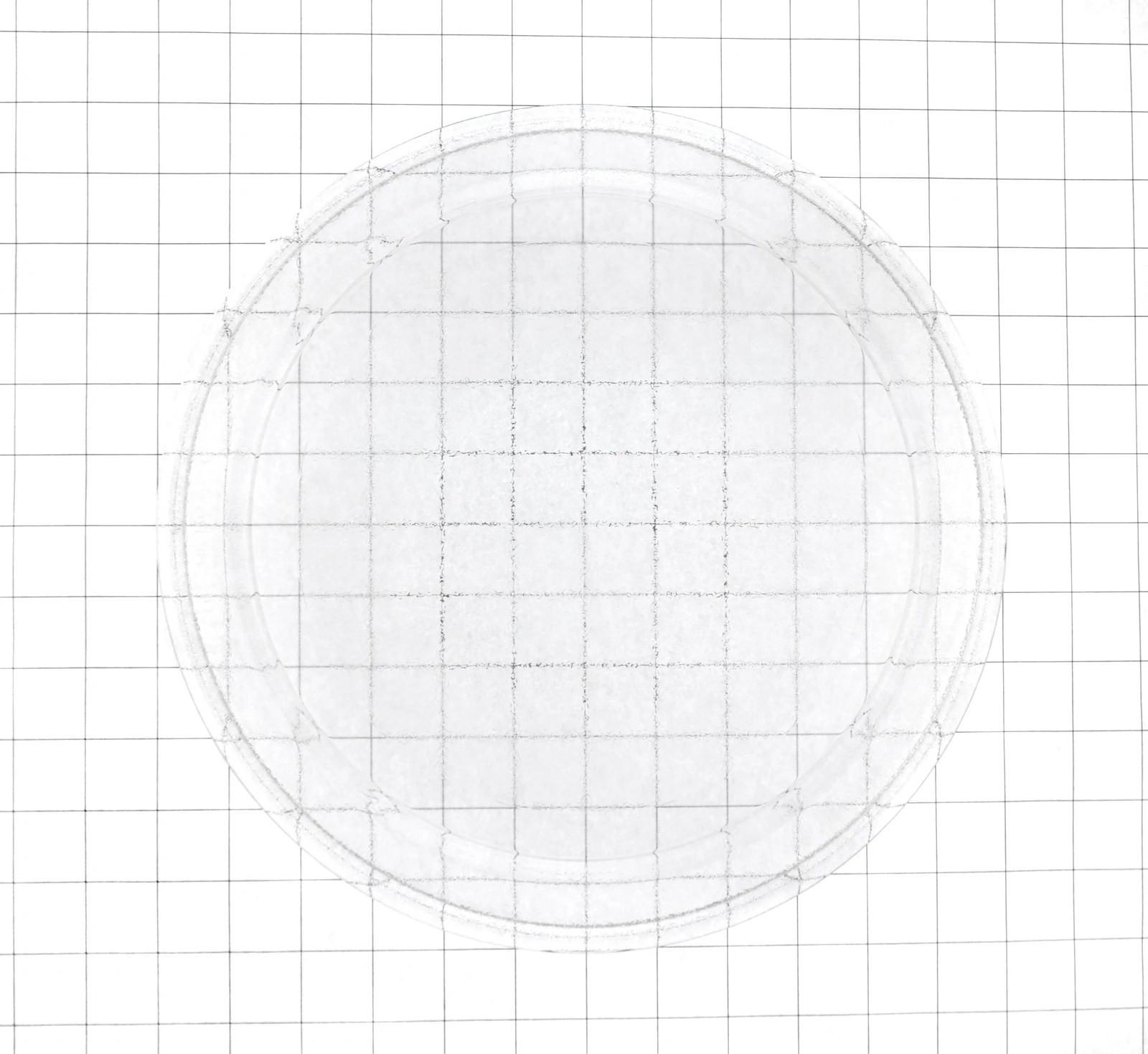 Glass Turntable Tray